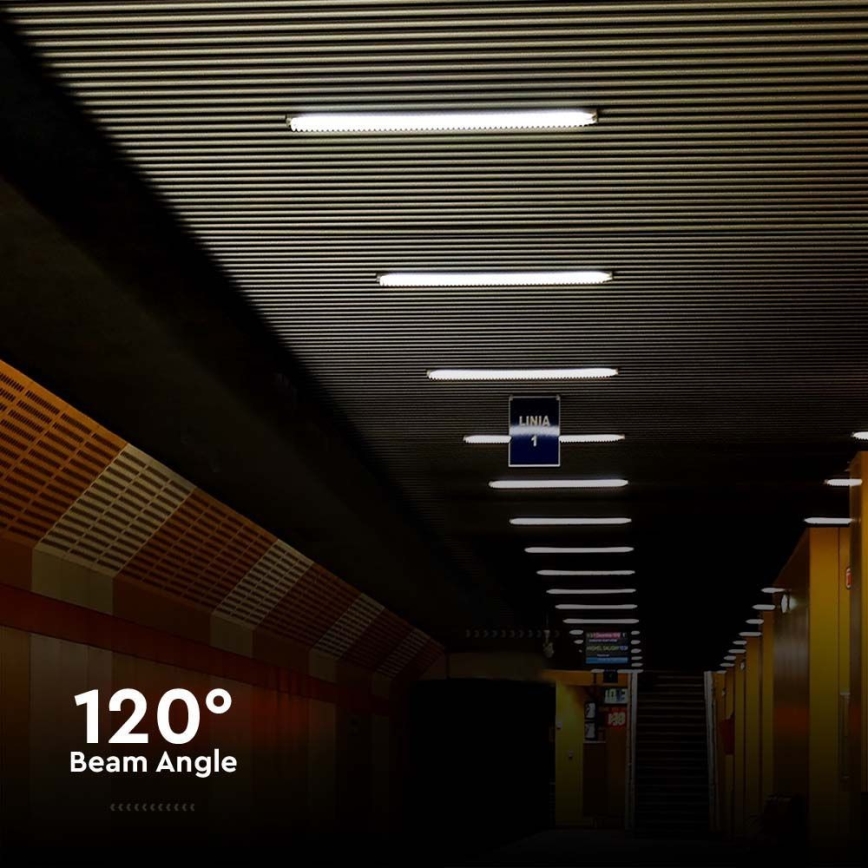 LED Hochleistungs-Leuchtstofflampe LED/48W/230V 6500K IP65 150 cm