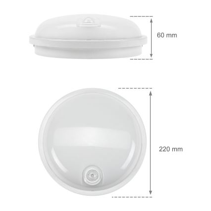 LED-Hochleistungsleuchte mit PIR-Sensor LED/20W/230V IP54