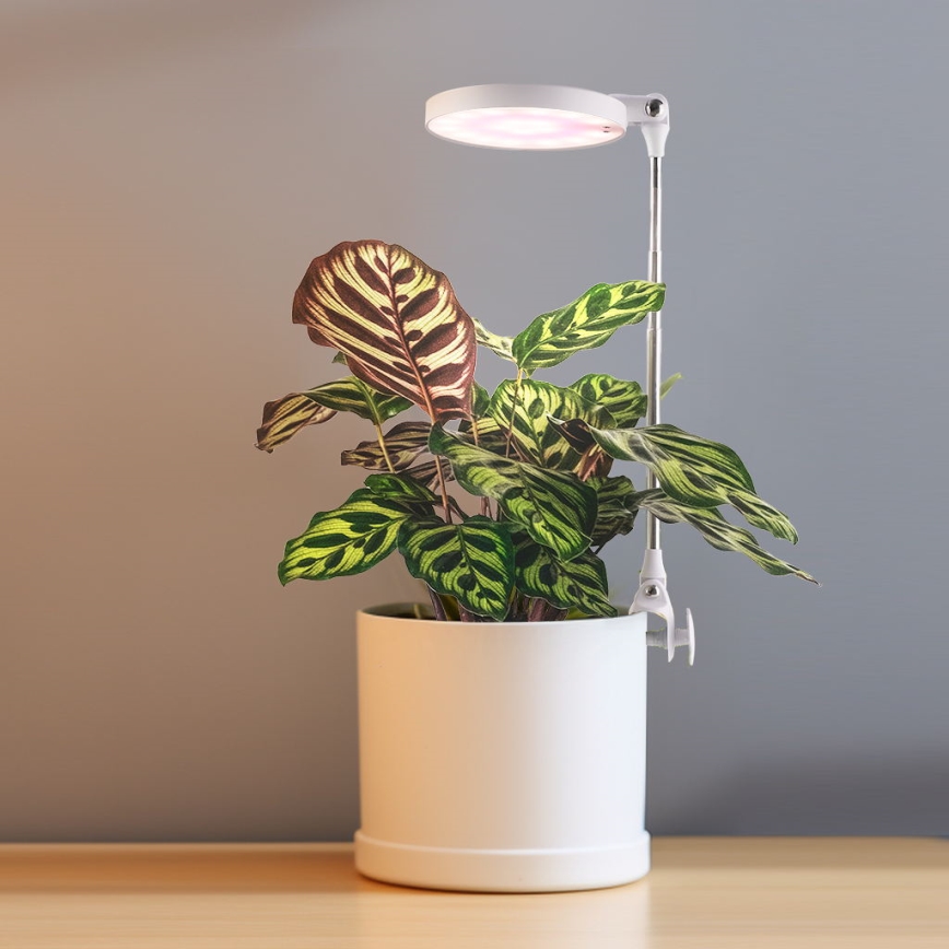 LED-Innenleuchte für die Pflanzenzucht LED/10W/5V 3200K