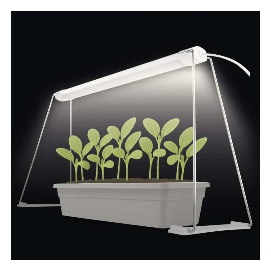 LED-Innenleuchte zur Pflanzenzucht GROW LED/15W/230V
