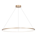 LED Kronleuchter an Kabel SATURNO LED/65W/230V Ø 120 cm IP44 gold