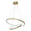 LED-Kronleuchter HOOP LED/51W/230V d 60 cm 4000K golden
