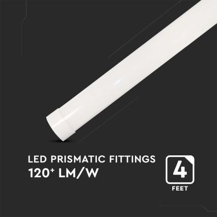 LED-Küchenunterbauleuchte LED/40W/230V 6500K 116 cm