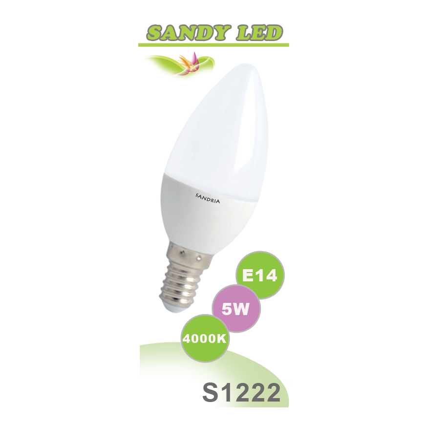 LED Glühbirnne SANDY E14/5W/230V - Sandria S1222