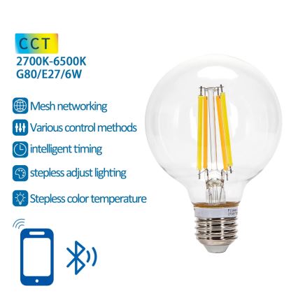 Dimmbare LED-Lampe FILAMENT MESH Smart G80 E27/6W/230V 2700-6500K - Aigostar