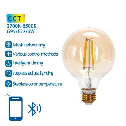 Dimmbare LED-Lampe FILAMENT MESH Smart G95 E27/6W/230V 2700-6500K - Aigostar