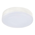LED-Lampe GX53/6,4W/230V 4000K
