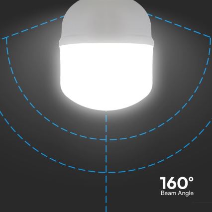 LED-Lampe T120 E27/40W/230V 6500K