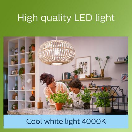 LED-Glühbirne VINTAGE Philips A60 E27/4W/230V 4000K