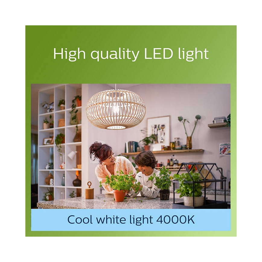 LED-Glühbirne VINTAGE Philips A60 E27/4W/230V 4000K
