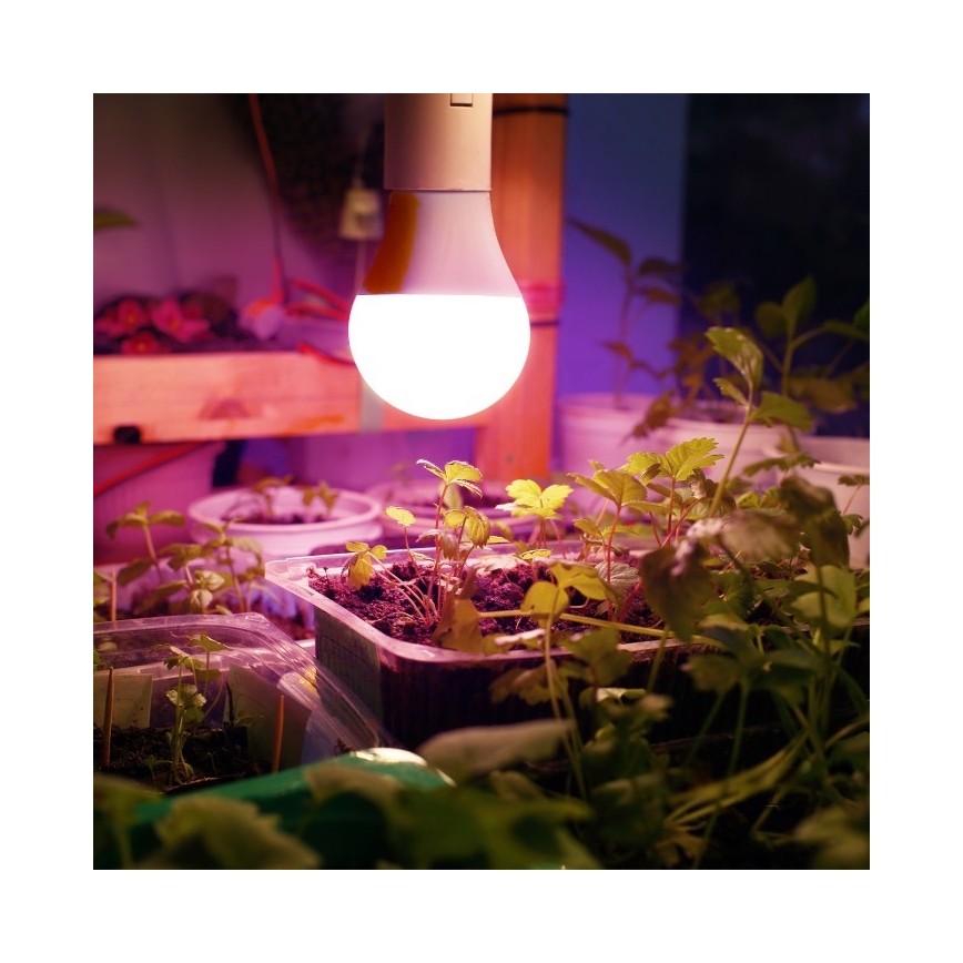 LED-Leuchtmittel für die Pflanzenzucht PLANTY E27/11W/230V 1200K weiß