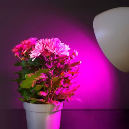 LED-Leuchtmittel für die Pflanzenzucht PLANTY E27/11W/230V 1200K weiß