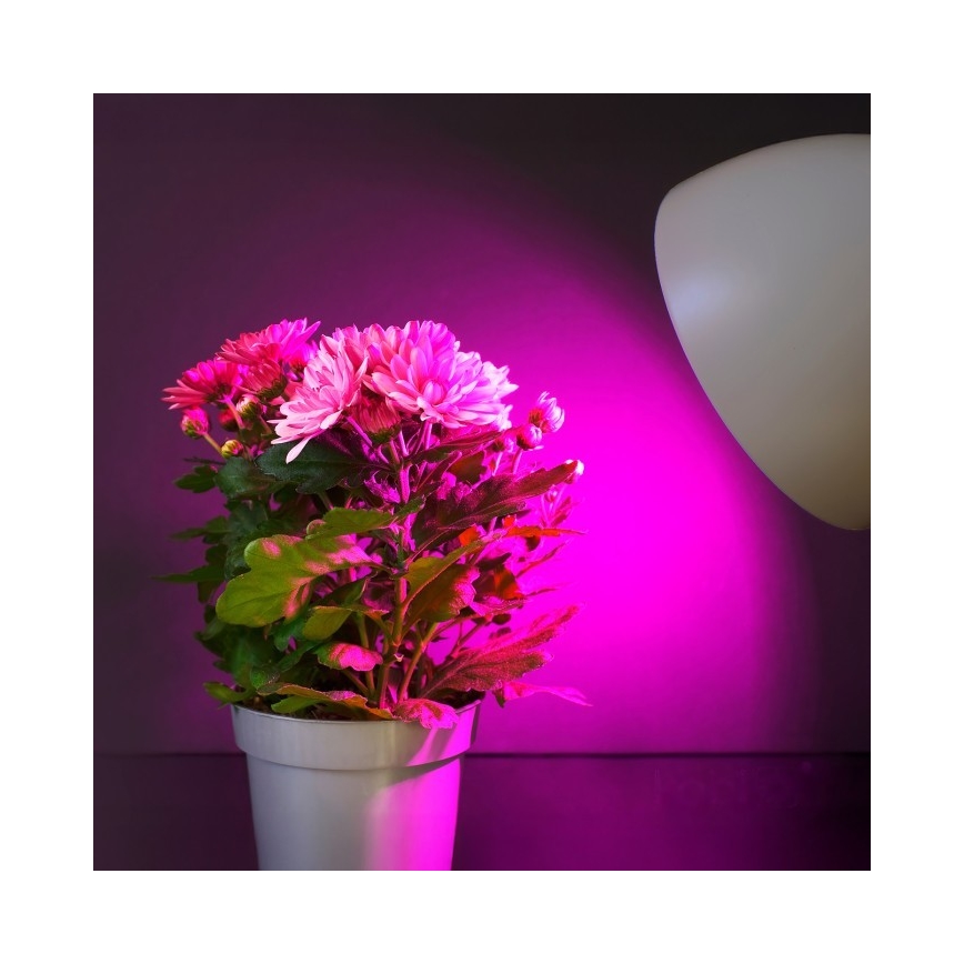 LED-Leuchtmittel für die Pflanzenzucht PLANTY E27/11W/230V 1200K weiß