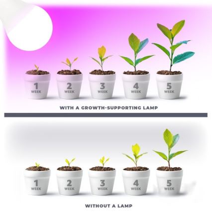 LED-Leuchtmittel für die Pflanzenzucht PLANTY E27/11W/230V 1200K weiß