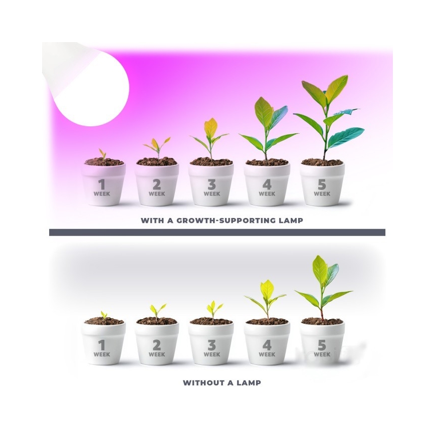 LED-Leuchtmittel für die Pflanzenzucht PLANTY E27/11W/230V 1200K weiß
