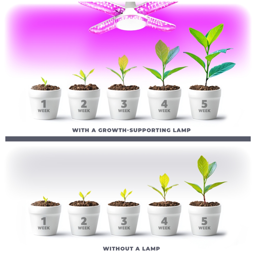 LED-Leuchtmittel für die Pflanzenzucht PLANTY E27/40W/230V 1200K