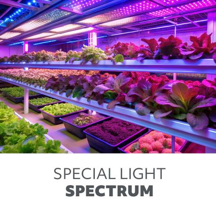 LED-Leuchtmittel für die Pflanzenzucht PLANTY E27/40W/230V 1200K