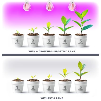LED-Leuchtmittel für die Pflanzenzucht VITABLOOM E27/8W/230V 1200K - Brilagi