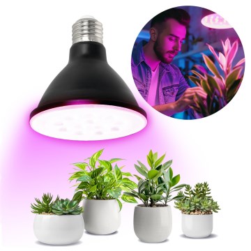 LED-Leuchtmittel für die Pflanzenzucht VITABLOOM E27/9W/230V 1200K schwarz - Brilagi