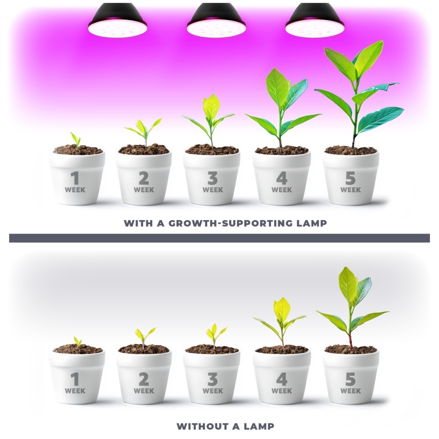 LED-Leuchtmittel für die Pflanzenzucht VITABLOOM E27/9W/230V 1200K schwarz - Brilagi