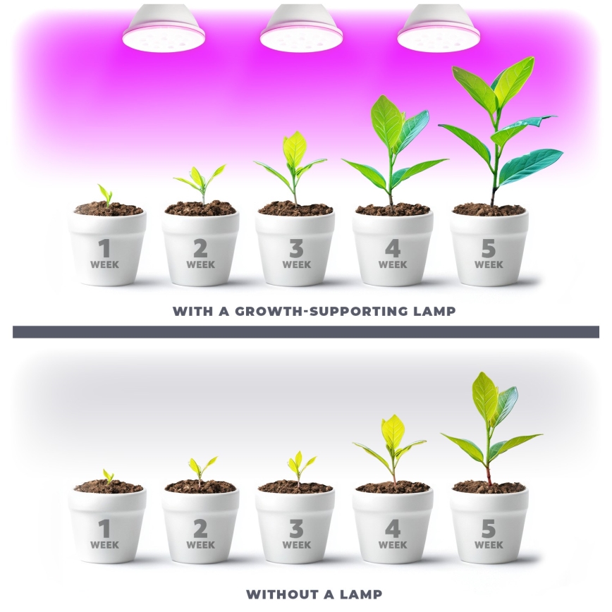LED-Leuchtmittel für die Pflanzenzucht VITABLOOM E27/9W/230V 1200K weiß - Brilagi