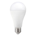 LED-Leuchtmittel GS E27/17W/230V 6500K