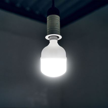 LED-Leuchtmittel T140 E27/50W/230V 4000K