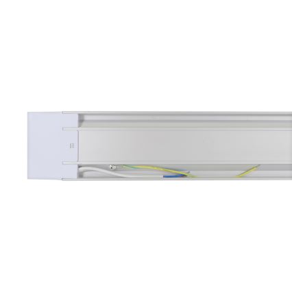 LED Leuchtstofflampe AVILO 120 LED/36W/230V