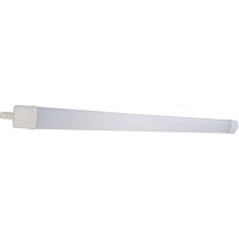 LED-Leuchtstofflampe DAISY LED/30W/230V 4000K IP65