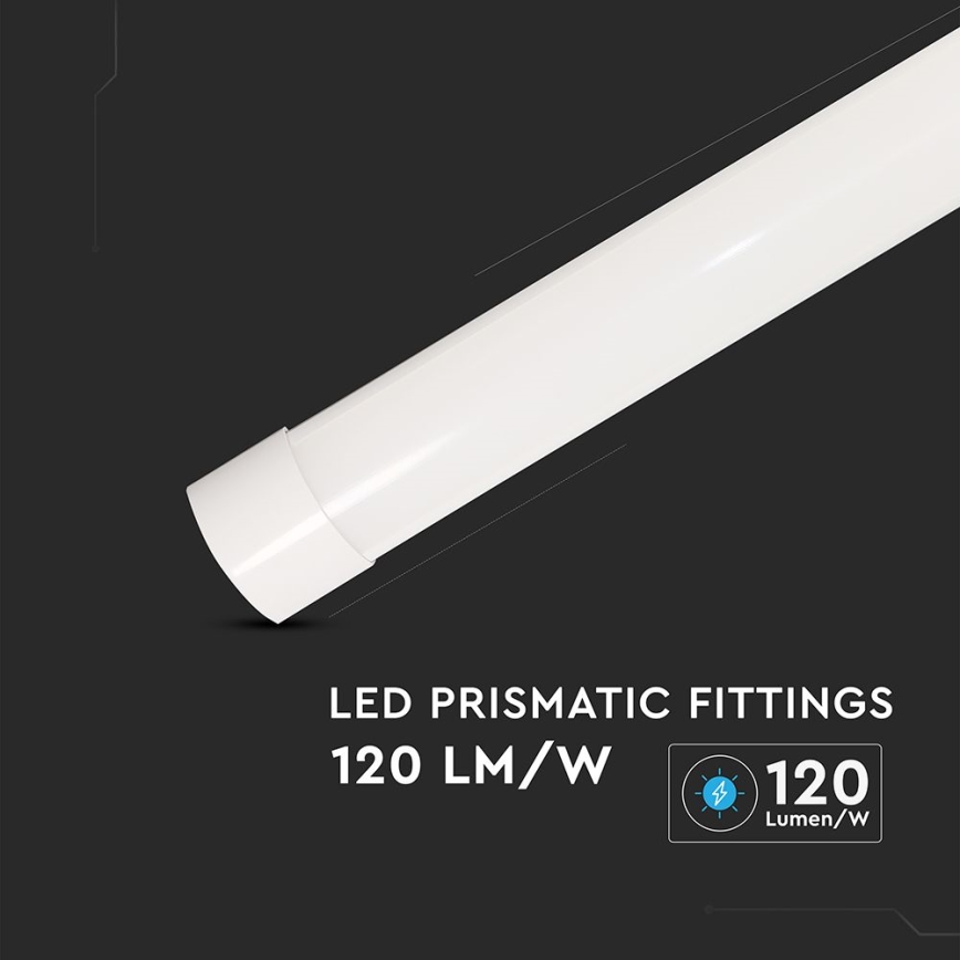 LED Leuchtstofflampe LED/20W/230V 6500K 60 cm weiß