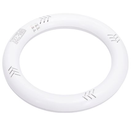 LED Leuchtstoffröhre G10q/14W/230V 6500K - Aigostar