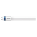 LED-Leuchtstoffröhre Philips MASTER T8 G13/8W/50V 6500K 60 cm