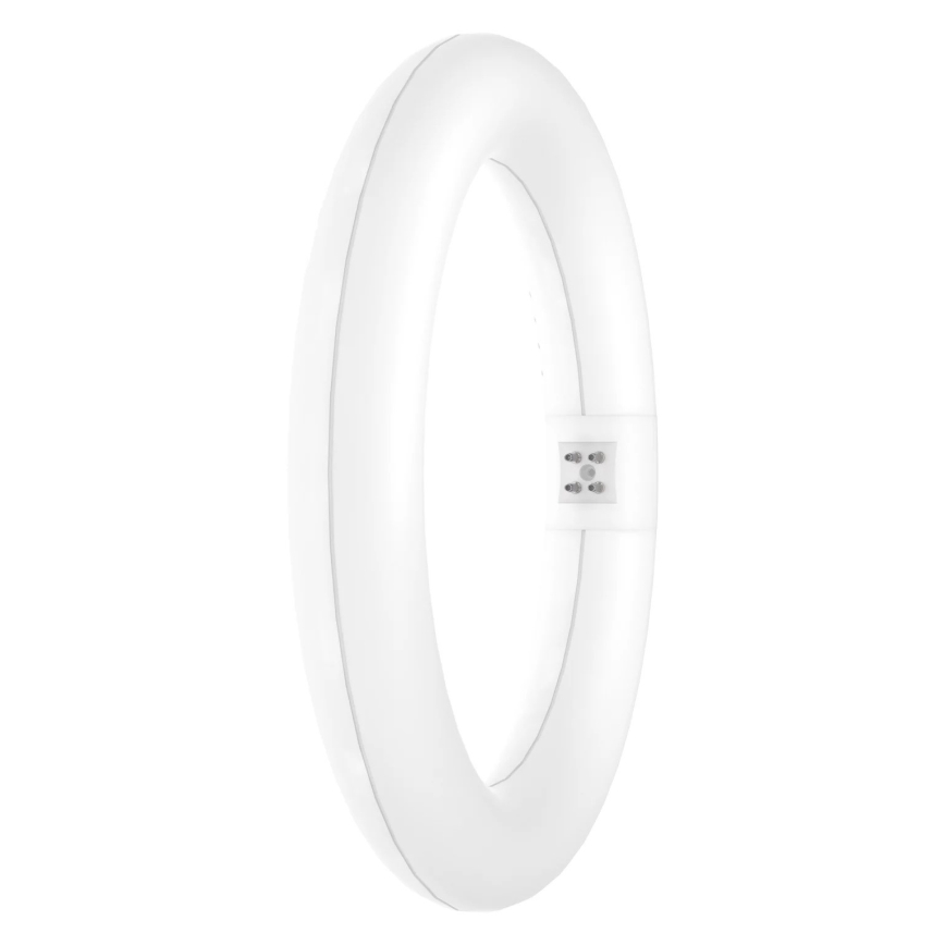 LED-Leuchtstoffröhre SUBSTITUBE T9 G10q/12W/230V 4000K d 21,2 cm - Osram