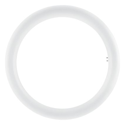 LED-Leuchtstoffröhre SUBSTITUBE T9 G10q/20W/230V 6500K d 29,8 cm - Osram