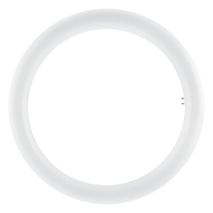 LED-Leuchtstoffröhre SUBSTITUBE T9 G10q/20W/230V 6500K d 29,8 cm - Osram