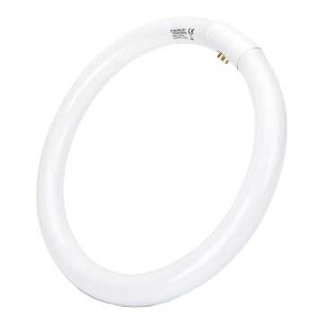 LED-Leuchtstoffröhre T9 G24q-1/32W/230V 6500K - Aigostar