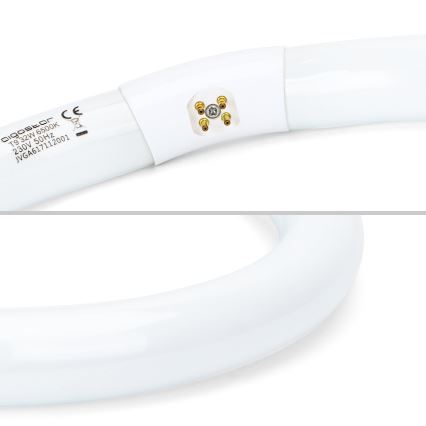 LED-Leuchtstoffröhre T9 G24q-1/32W/230V 6500K - Aigostar