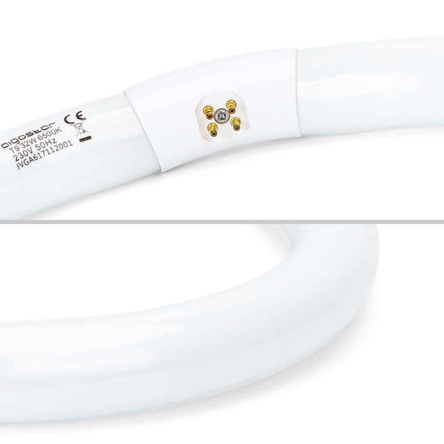 LED-Leuchtstoffröhre T9 G24q-1/32W/230V 6500K - Aigostar