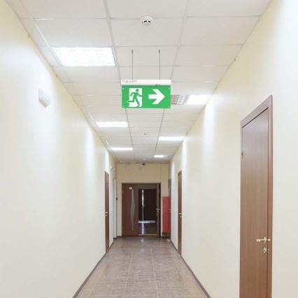 LED-Notleuchte EMERGENCY EXIT LED/2,5W/230V 4in1 6000K