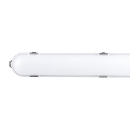LED-Technische Leuchtstofflampe mit Notfallmodul EMERGENCY LED/48W/230V 6500K 150cm IP65