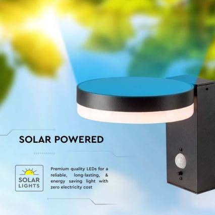 LED Outdoor-Solarwandleuchte mit Sensor LED/5,5W/3,7V 3000K IP54 2000 mAh