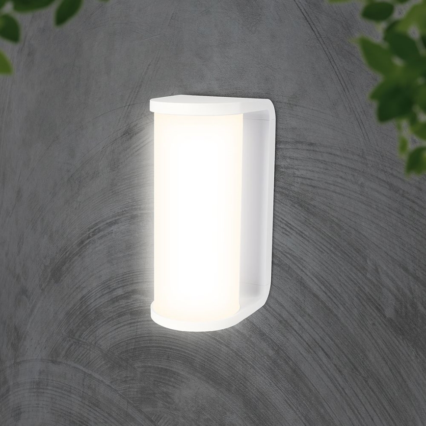 LED-Outdoor-Wandleuchte LED/12W/230V 3000/4200/6500K IP65 weiß