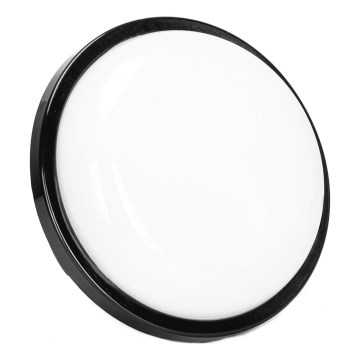 LED-Outdoor-Wandleuchte LED/15W/230V 6500K d 15,5 cm schwarz IP65