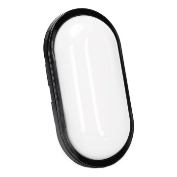 LED-Outdoor-Wandleuchte LED/15W/230V 6500K schwarz IP65