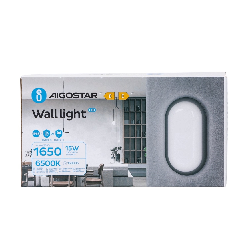 LED-Outdoor-Wandleuchte LED/15W/230V 6500K schwarz IP65