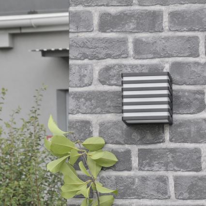 LED-Outdoor-Wandleuchte MAXWELL LED/10W/230V IP54 anthrazit