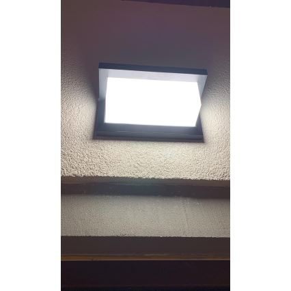 LED-Outdoor-Wandleuchte mit Sensor LED/12W/230V IP54 schwarz