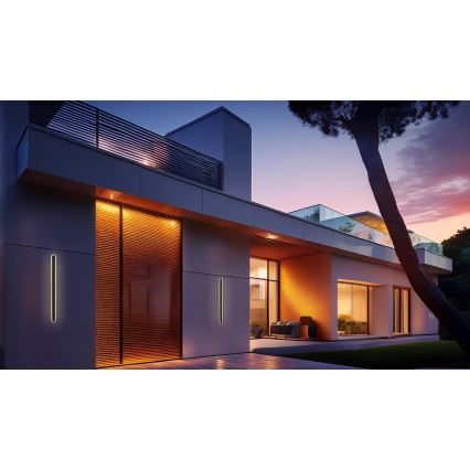 LED-Outdoor-Wandleuchte STICK LED/12W/230V IP65 3000K 30 cm