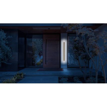 LED-Outdoor-Wandleuchte STICK LED/12W/230V IP65 3000K 30 cm