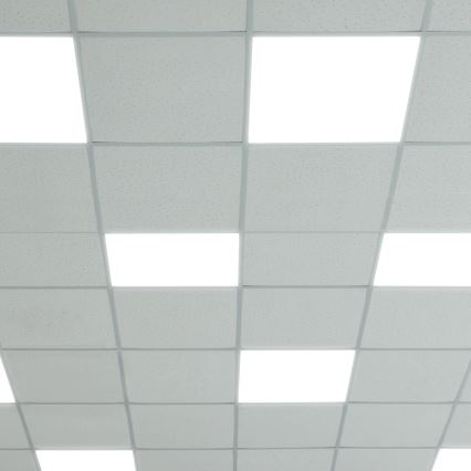LED-Panel LED/48W/230V 4000K 60x60 cm